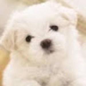 Meet your Posher, Kaitlyn